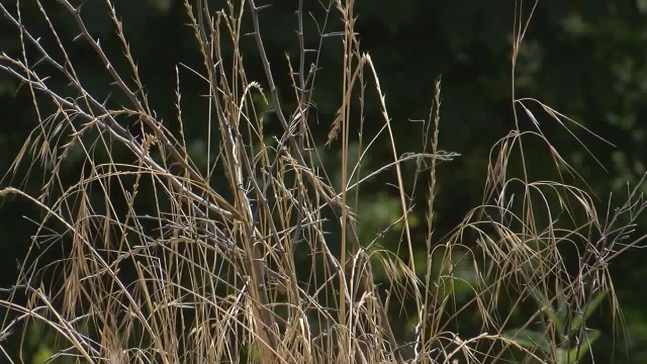 Drought declared in several counties